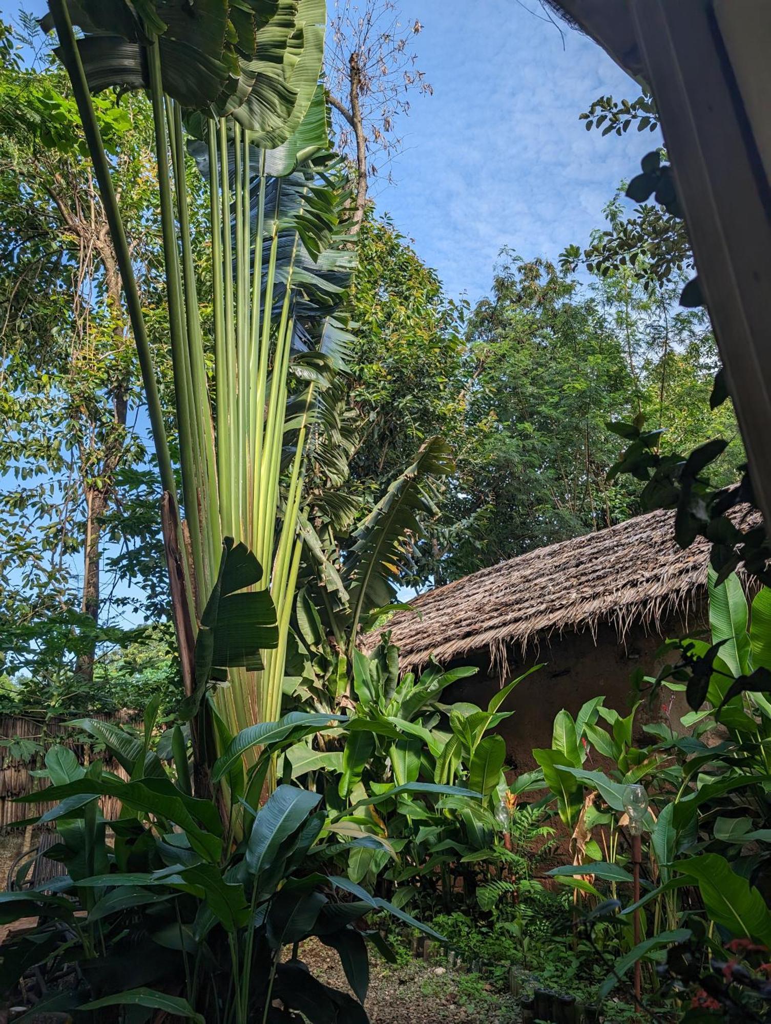 Backyard Hostel Moshi Buitenkant foto